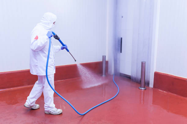 Spring Cleaning in Landrum, SC