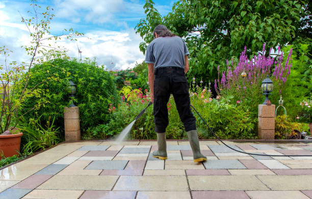 Best Winterizing Services  in Landrum, SC
